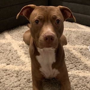 Meet your Posher, Cheryl